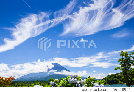 富士山,繡球花和雲 富士山,繡球花和雲 56948905