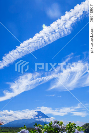 富士山，繡球花和雲 56948907