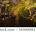 Leaf corridor 56948981