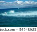 Surfing 56948983