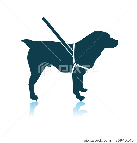 Guide Dog Icon 56949146