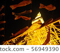 Carp streamer 56949390