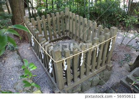 Tianhei Benzaiten 56950611