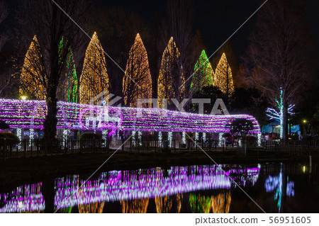 照明Moto Sabae Park 照明Moto Sabae Park 56951605