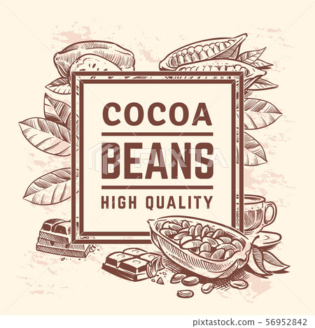 Cocoa plant with leaves. Cacao tree background. Sweet chocolate packaging vector design Cocoa plant with leaves. Cacao tree background. Sweet chocolate packaging vector design 56952842