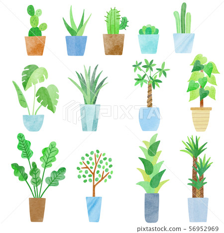 水彩風格室內植物 水彩風格室內植物 56952969