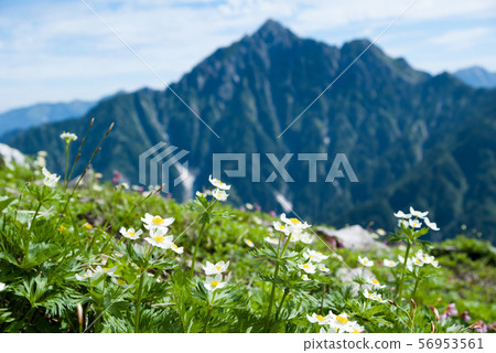 Hakusan Ichige and Mt. 56953561