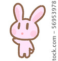 Rabbit looking at something 56953978