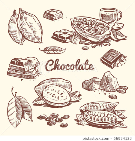 Hand drawn cacao, leaves, cocoa seeds, sweet dessert and chocolate bar. Cocoa sketch vector 56954123
