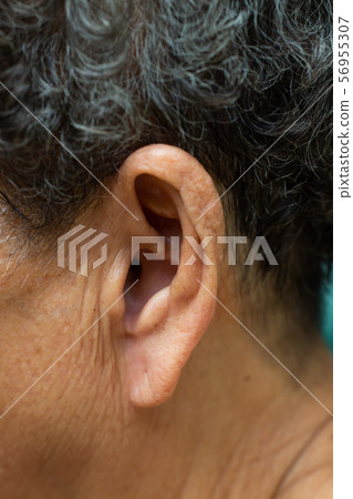 Senior woman's left ear to listening, Symptom of hearing loss, Close up & Macro shot, Selective focus, Asian Body part, Healthcare concept Senior woman's left ear to listening, Symptom of hearing loss, Close up & Macro shot, Selective focus, Asian Body part, Healthcare concept 56955307