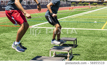 Two boys doing box jumps on a green turf field 56955519