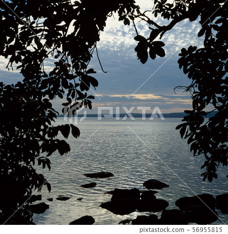 sunrise lake in tanzanian savannah 56955815