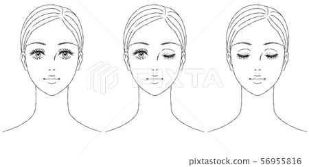 女性的臉門面 女性的臉門面 56955816