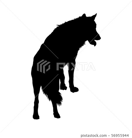 Wolf Silhouette Stock Illustration