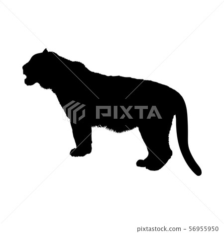 Tiger Silhouette : ✓ free for commercial use ✓ high quality images.