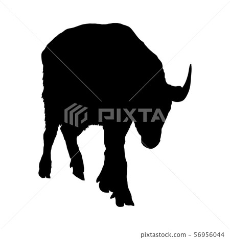Bison Silhouette Bison Silhouette 56956044