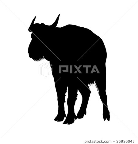 Bison Silhouette Bison Silhouette 56956045