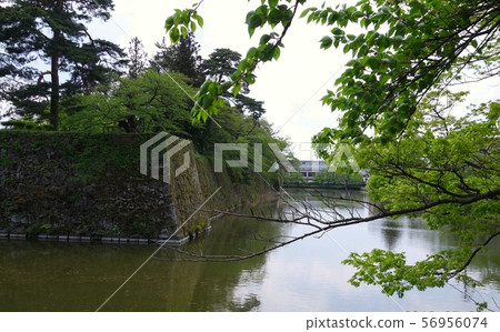 Tsuruga城堡石垣Hori Furuki紋理背景 56956074