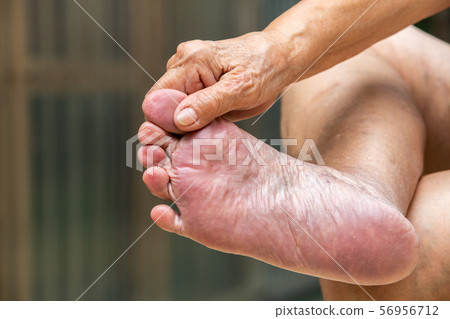 Senior woman's hands massaging her foot, About massage concept, Close up shot Senior woman's hands massaging her foot, About massage concept, Close up shot 56956712