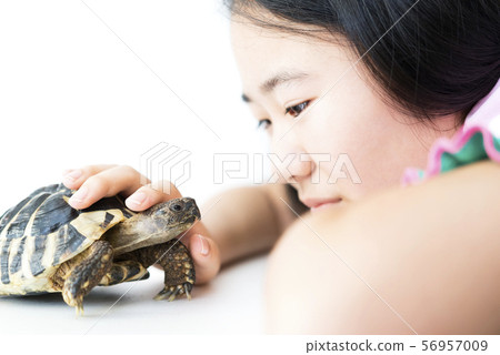 Girl and pet tortoise Girl and pet tortoise 56957009