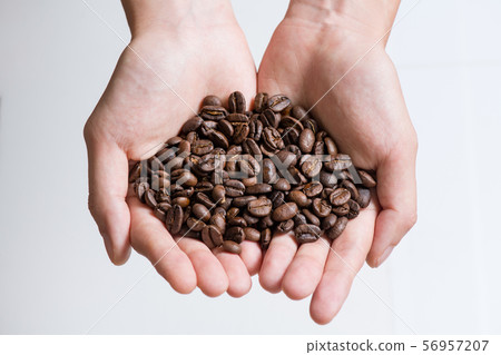 Coffee beans, roasting, woman, palm, hand, coffee mill 56957207
