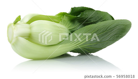 Bok Choy or Chinese cabbage isolated on white 56958018