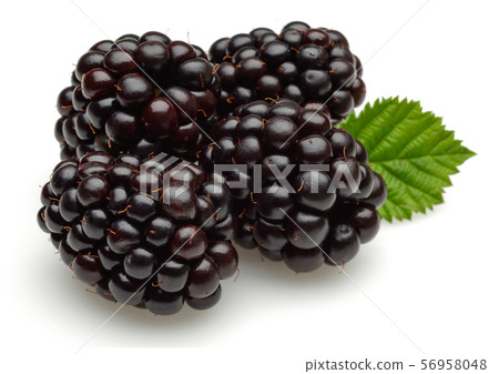 Fresh blackberries with leaf isolated on white Fresh blackberries with leaf isolated on white 56958048