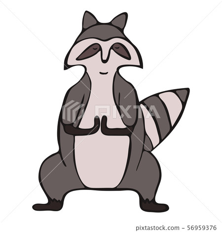 Hand drawn raccoon do yoga 56959376