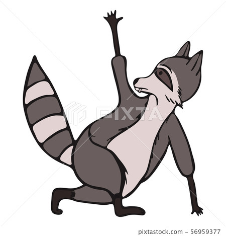 Hand drawn raccoon do yoga 56959377
