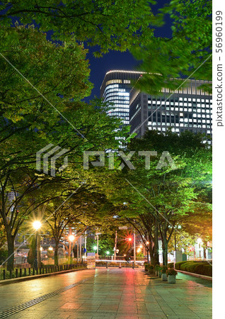 Yodoyabashi周圍的夜景 Yodoyabashi周圍的夜景 56960199