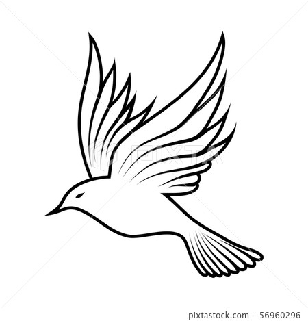 Sketch of Bird- [56960296] - PIXTA - sketch 背景 削除