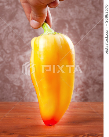 fresh yellow sweet bell pepper in hand 56962570