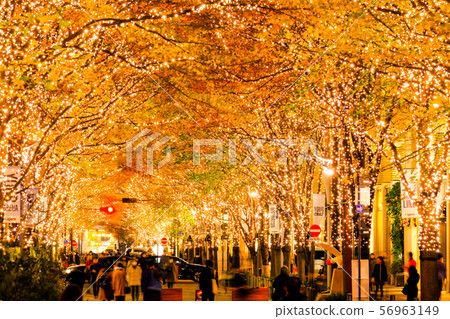 照明(丸之內) 照明(丸之內) 56963149