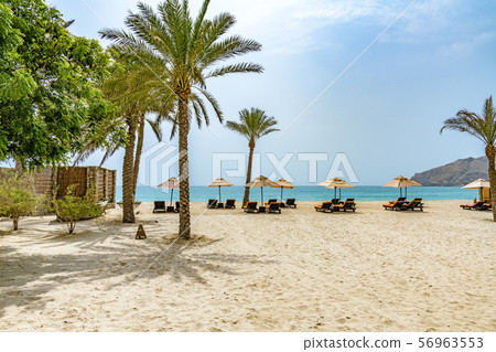 Ziggy Bay Beach（阿曼，Musandam） 56963553