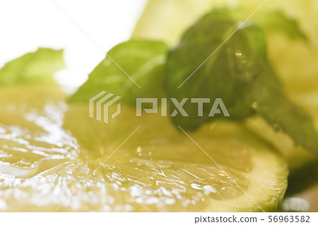 Lime and Mint Citrus Herb Macro Fresh Mojito Cocktail Shizuru Plant Fruit Fruit Lime and Mint Citrus Herb Macro Fresh Mojito Cocktail Shizuru Plant Fruit Fruit 56963582