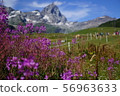 European Alps 56963633