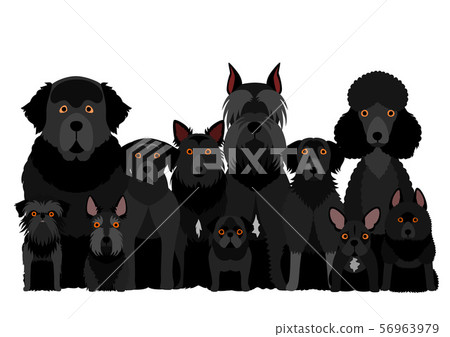 小組沮喪 小組沮喪 56963979