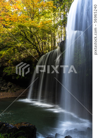 秋天的Nabegara瀑布 56965240