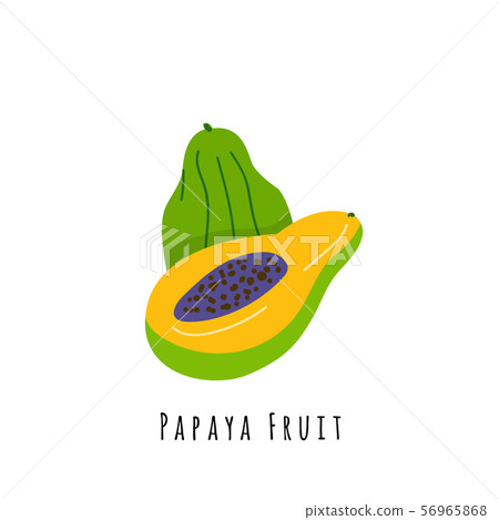 Papaya fruit flat vector illustration 56965868
