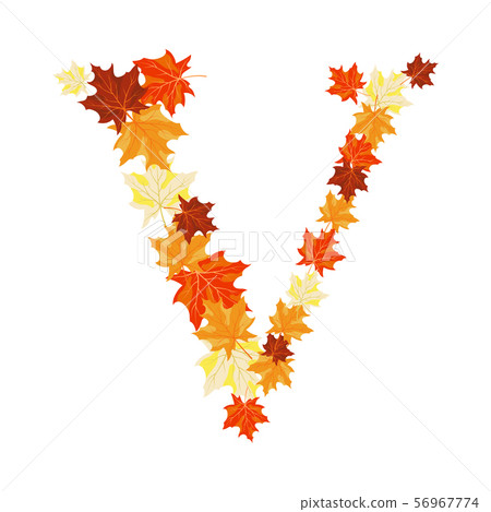 Autumn Maples Leaves Letter 56967774