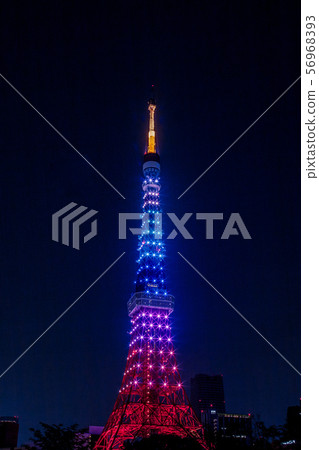 鑽石面紗東京鐵塔夜視圖 56968393