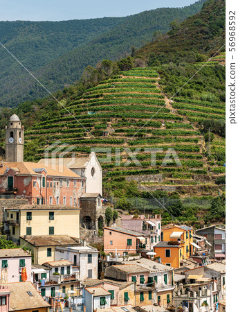 Ancient Vernazza village - Cinque Terre in Liguria Italy Ancient Vernazza village - Cinque Terre in Liguria Italy 56968592