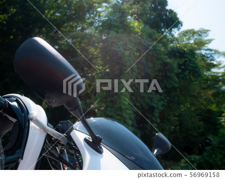 自行車遊覽綠色和陽光下 56969158