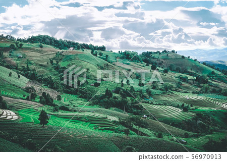 rice terrace paddy field on mountain rice terrace paddy field on mountain 56970913