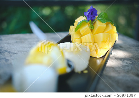 mango sticky rice coconut milk. traditional Thai dessert mango sticky rice coconut milk. traditional Thai dessert 56971397