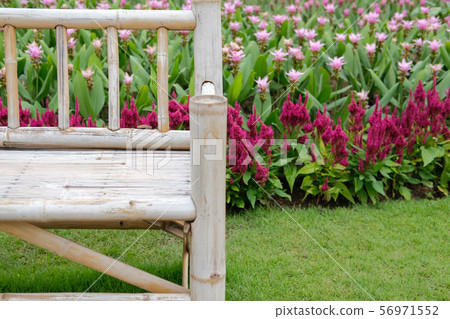 wooden bamboo bench in flower garden 56971552
