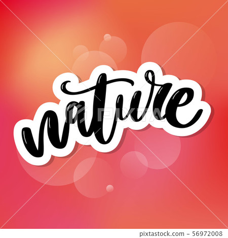 Natural product sticker - handwritten modern Natural product sticker - handwritten modern 56972008