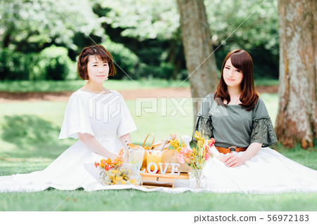 Picnic woman 56972183