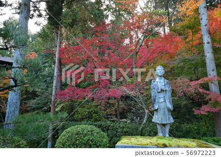 Autumn leaves of Kensenan Autumn leaves of Kensenan 56972223
