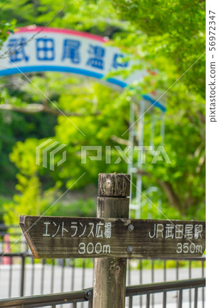 被遺棄的JR福知山線（兵庫縣寶塚市Tamase）的徒步旅行路線*在評論領域的射擊位置 56972347